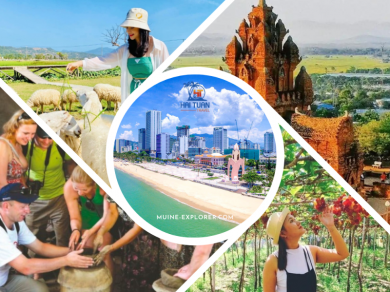 Nha Trang To Phan Rang 1 Day Tour Discover Cultural and Scenic
