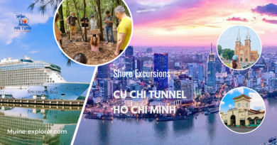 Tour Đón Cảng Phú Mỹ Tham Quan TP Hồ Chí Minh & Địa Đạo Củ Chi