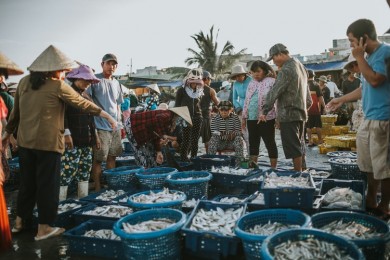 Tour Tham Quan Chợ Cá Và Làng Chài Mũi Né