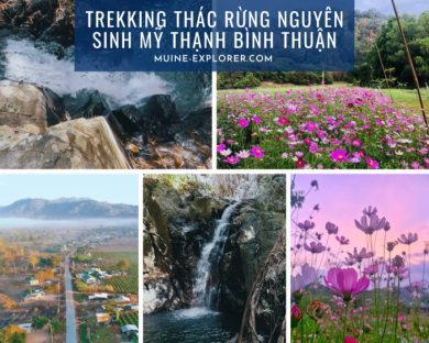 Trekking Suối Thác Rừng Nguyên Sinh Mỹ Thạnh Tại Bình Thuận